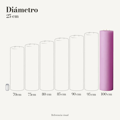 Cirio Rosa Mexicano 25 cm 100 cm