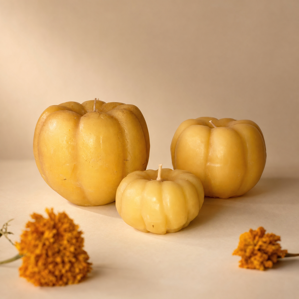 Calabazas amarillo - chica, mediana, grande