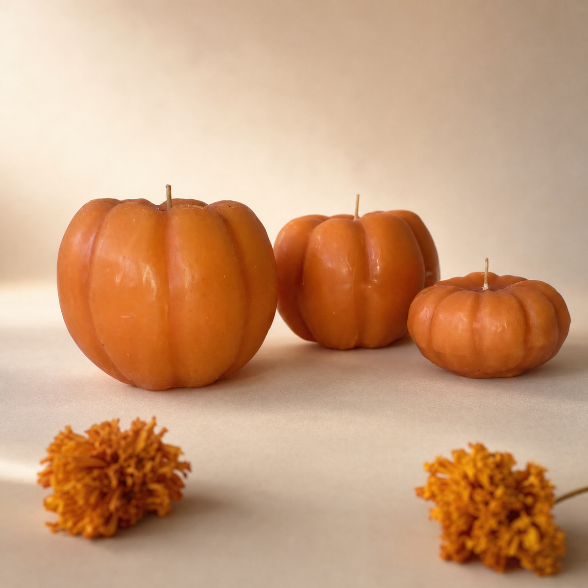 Calabazas naranja - chica, mediana, grande