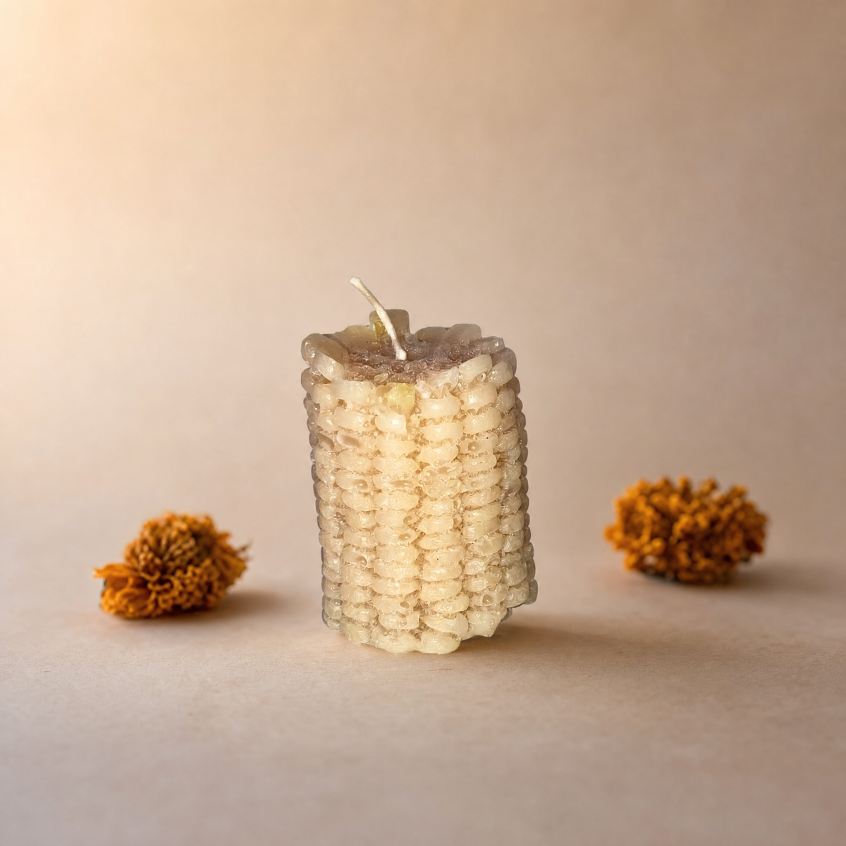 Elote cortado color natural/crema