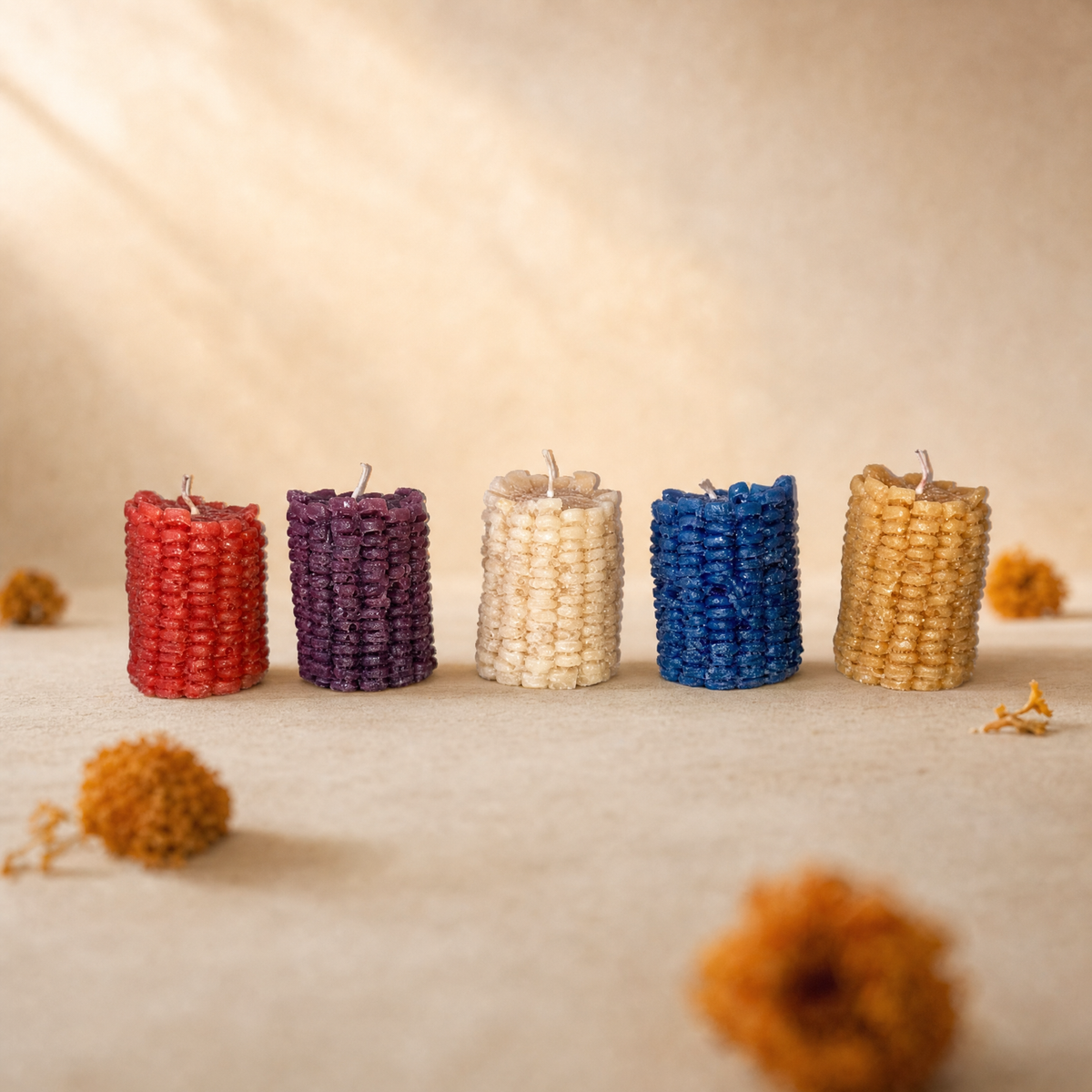Elote cortado - foto de grupo, 5 colores